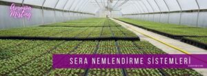 sera nemlendirme sistemleri