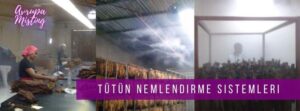 Tütün Nemlendirme Sistemleri